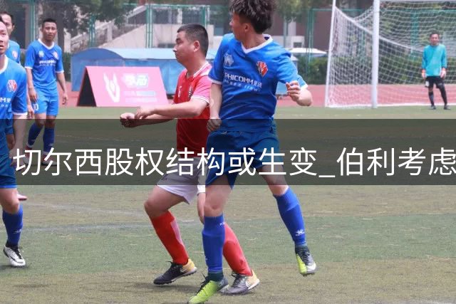 切尔西股权结构或生变 伯利考虑出售股份清湖资本或增持