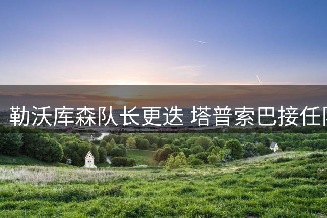 勒沃库森队长更迭 塔普索巴接任队长袖标